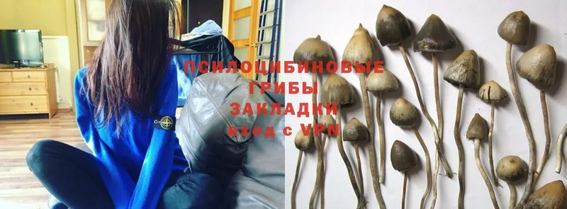 Галлюциногенные грибы MAGIC MUSHROOMS  omg   дарк нет клад  купить   Данилов 